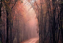 在泰国如何办理 “回头签”（Re-Entry Permit）：长期签证出入境攻略