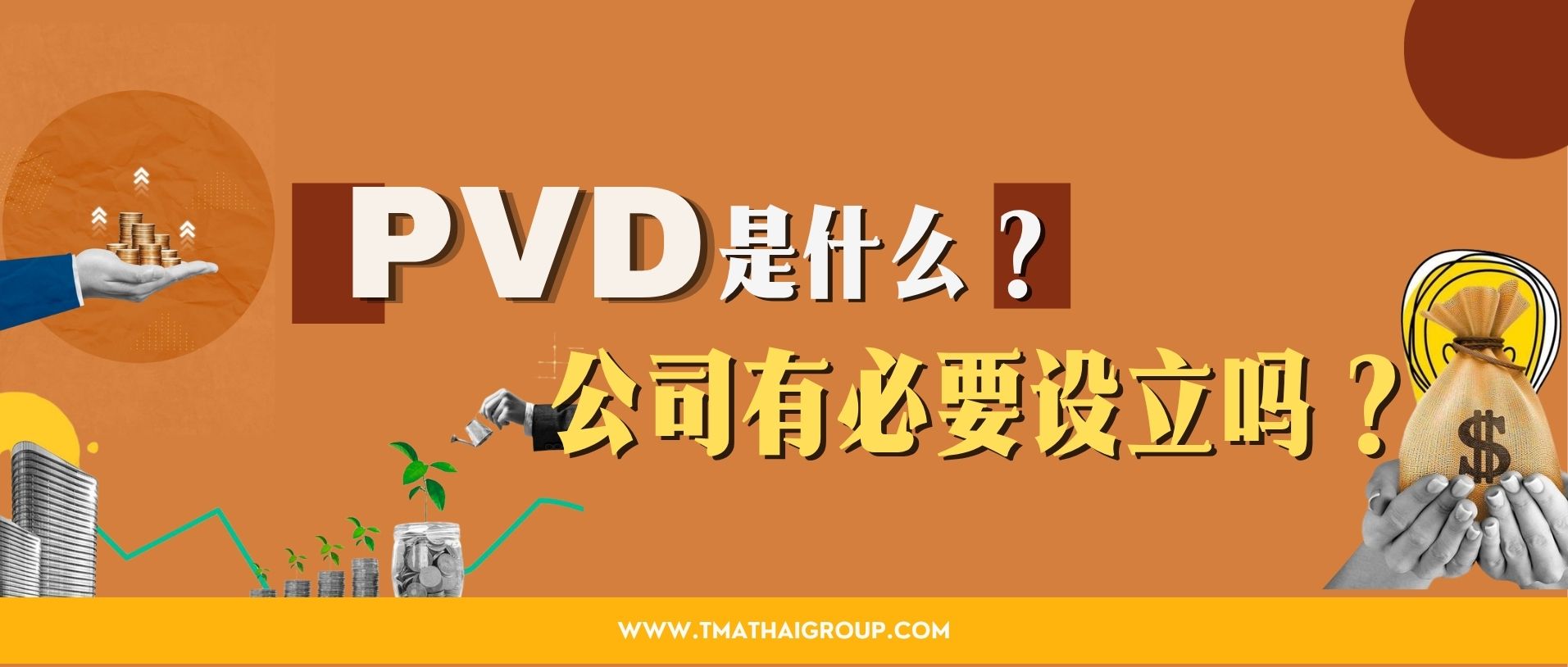 PVD是什么？公司有必要设立吗？