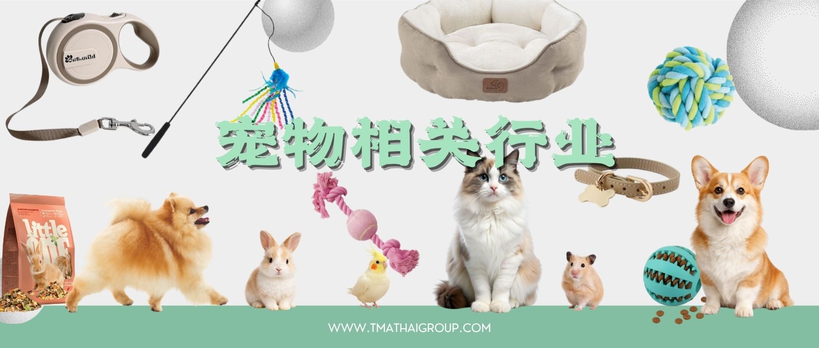 为什么宠物相关行业值得布局泰国？ 