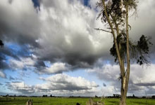 FDA ของไทยคืออะไร? สินค้าอะไรบ้างที่ต้องขอ อย. และขั้นตอนการขออนุญาต อย.