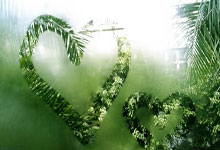 FDA ของไทยคืออะไร? สินค้าอะไรบ้างที่ต้องขอ อย. และขั้นตอนการขออนุญาต อย.