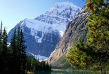 FDA ของไทยคืออะไร? สินค้าอะไรบ้างที่ต้องขอ อย. และขั้นตอนการขออนุญาต อย.